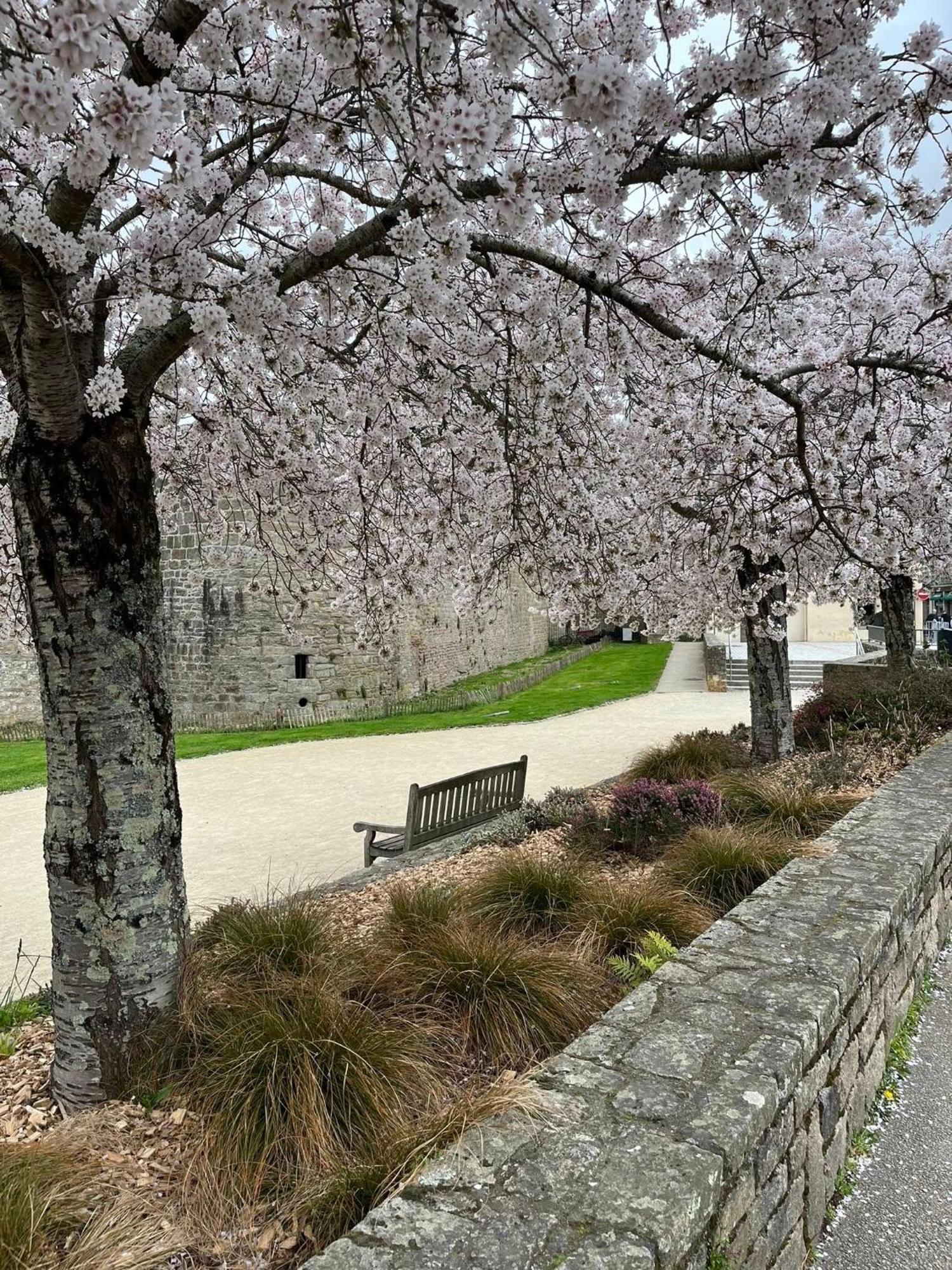 La casa de Sophie T3 avec jardinet, Parking privé - Port de Vannes Esterno foto